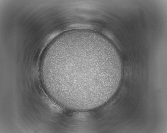 X0000078241074200611101029