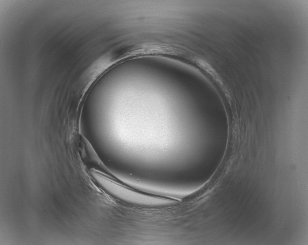 X0000078241089200611101029