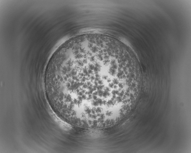 X0000078241090200611101029