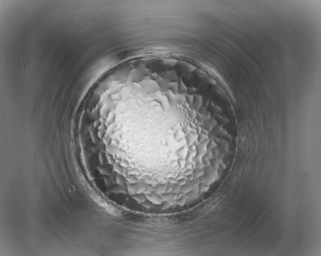 X0000078241091200611101029