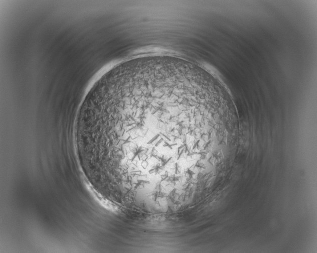 X0000078241098200611101029