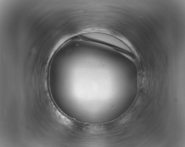 X0000078241102200611101029