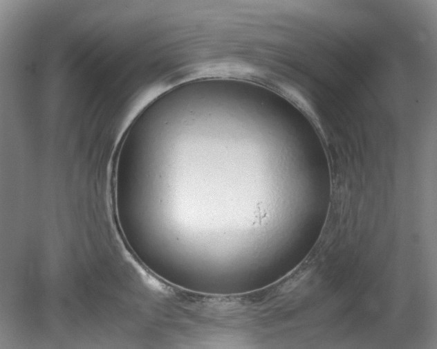 X0000078241103200611101029