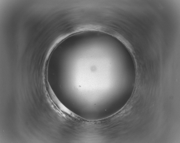 X0000078241104200611101029