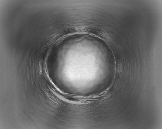 X0000078241106200611101028