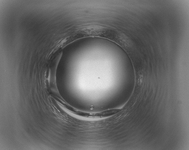 X0000078241108200611101028