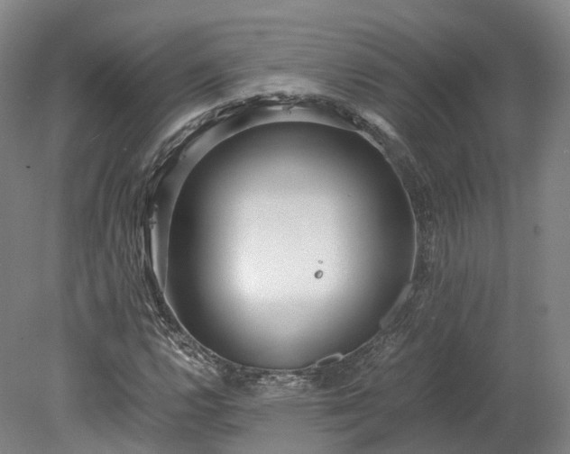 X0000078241112200611101028