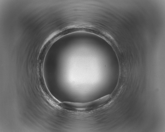 X0000078241114200611101028