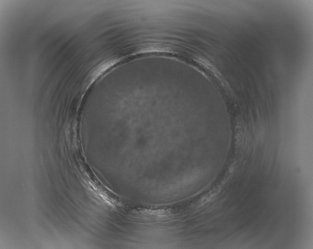 X0000078241121200611101028