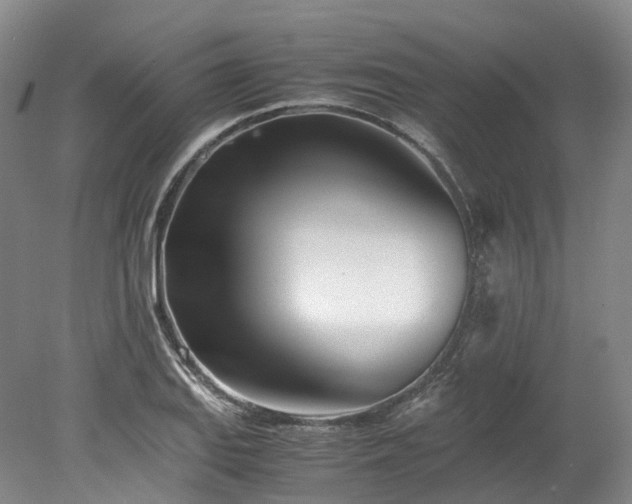 X0000078241127200611101028