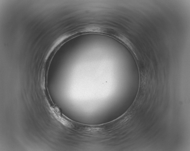 X0000078241131200611101028