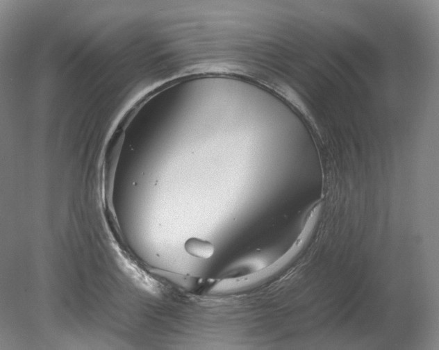 X0000078241132200611101028