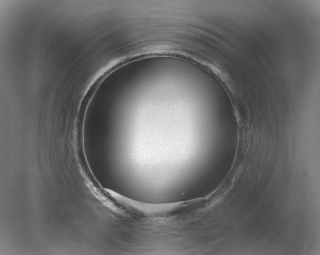 X0000078241134200611101028