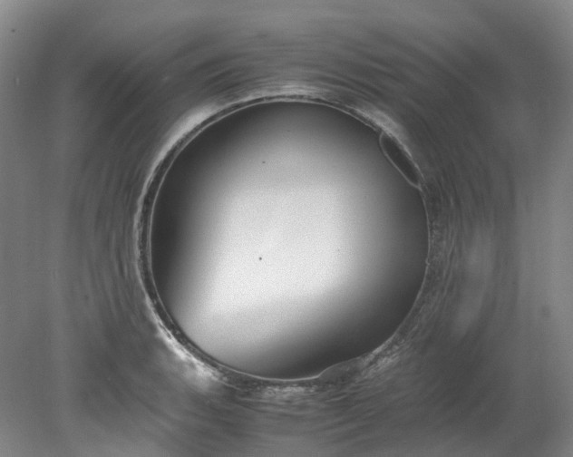 X0000078241135200611101028