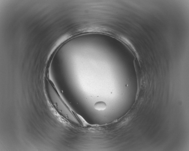 X0000078241138200611101028