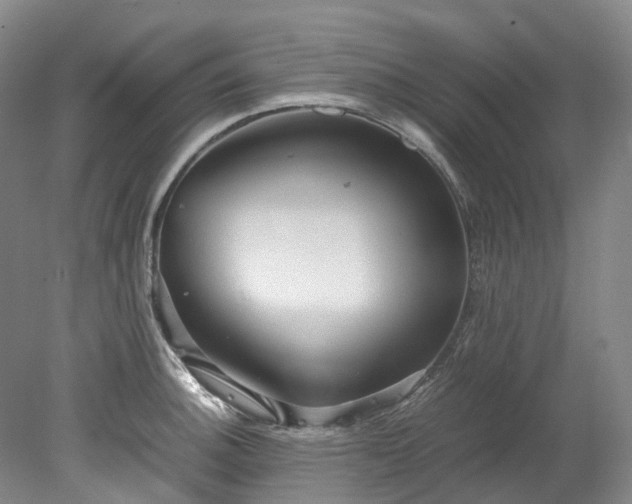 X0000078241140200611101029