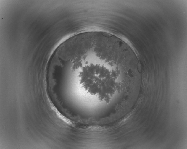 X0000078241142200611101029