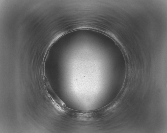 X0000078241145200611101029