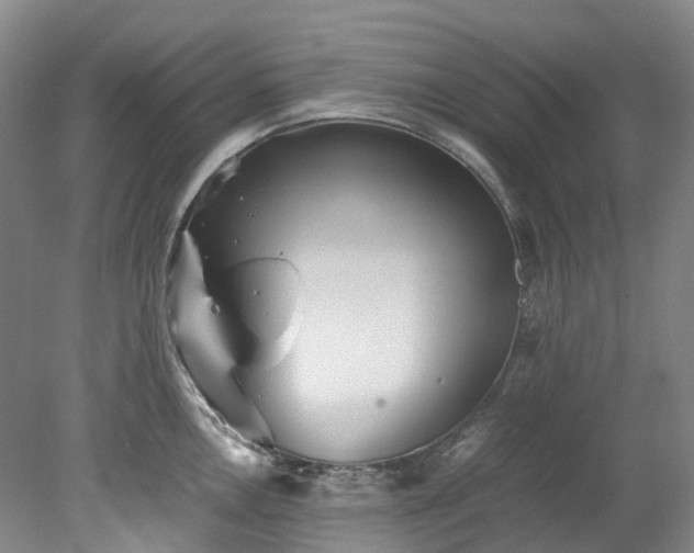 X0000078241146200611101029