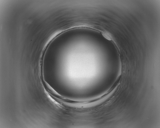X0000078241151200611101029