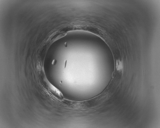 X0000078241155200611101028