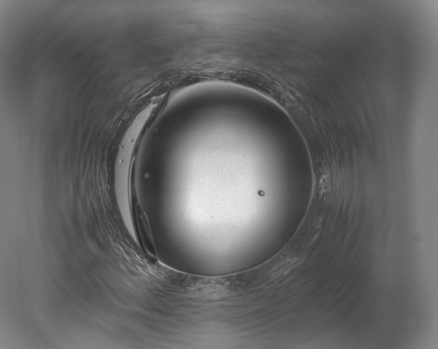 X0000078241156200611101028
