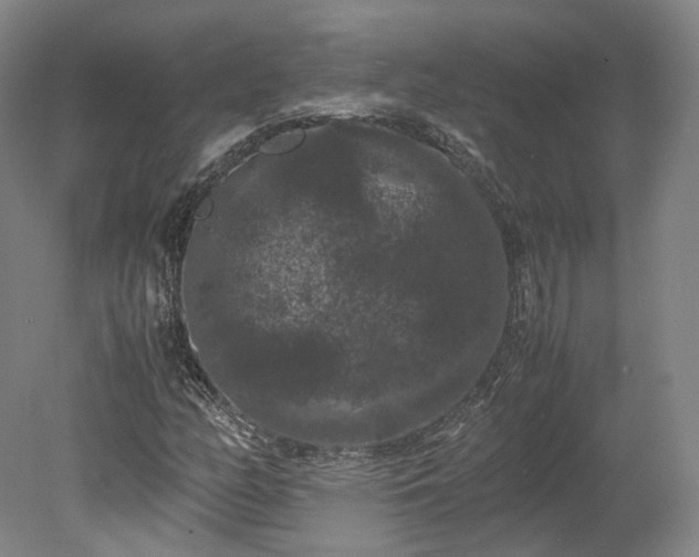 X0000078241158200611101028
