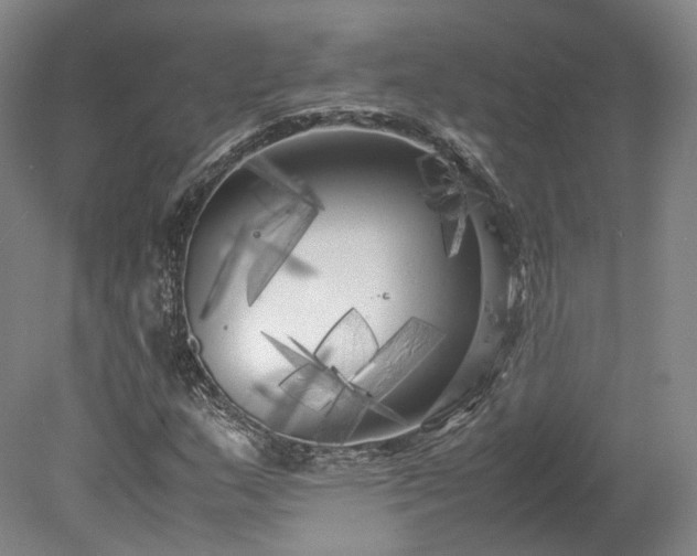 X0000078241159200611101028