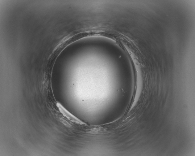 X0000078241160200611101028