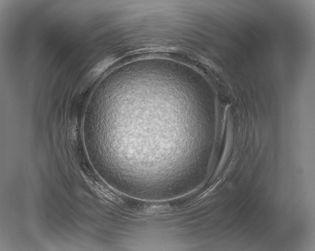X0000078241161200611101028