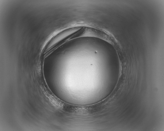X0000078241167200611101028