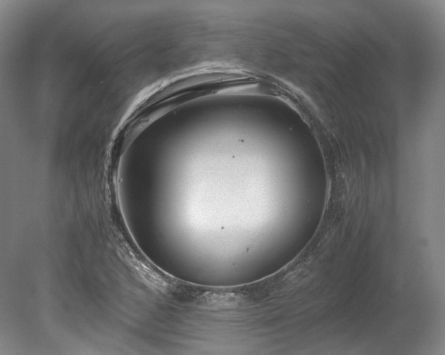 X0000078241168200611101028