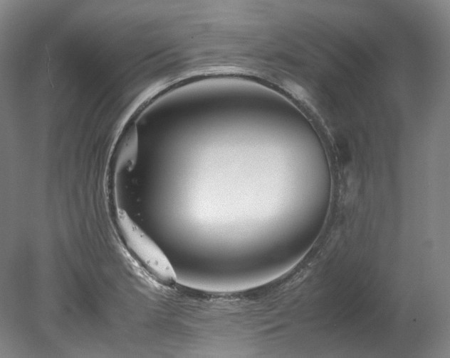 X0000078241181200611101027