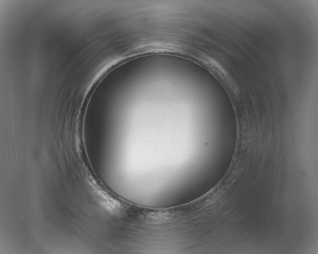 X0000078241182200611101027