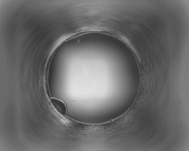 X0000078241187200611101027