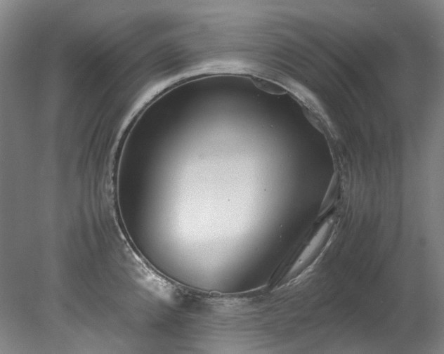 X0000078241192200611101027