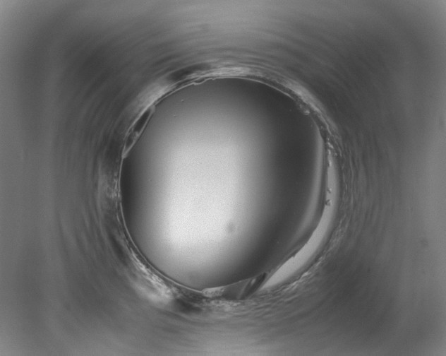 X0000078241193200611101027