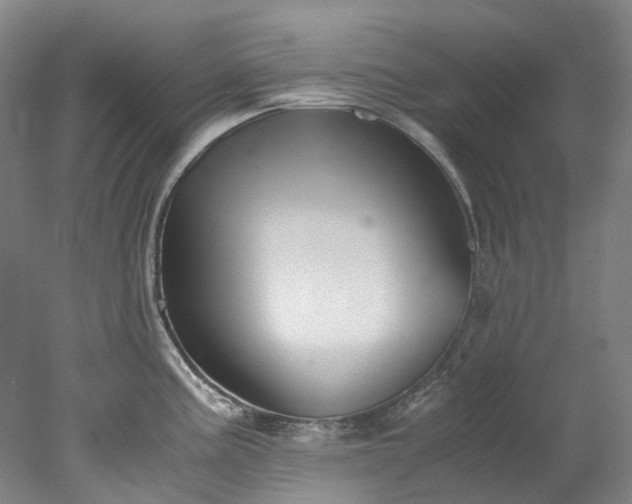 X0000078241195200611101027