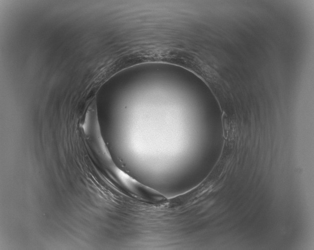 X0000078241202200611101026