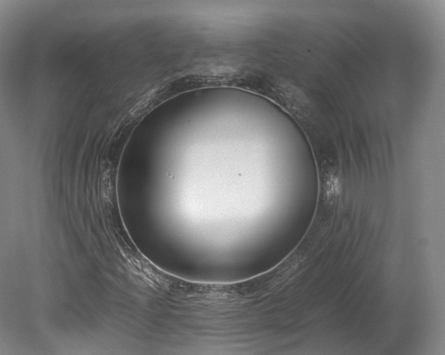 X0000078241204200611101026