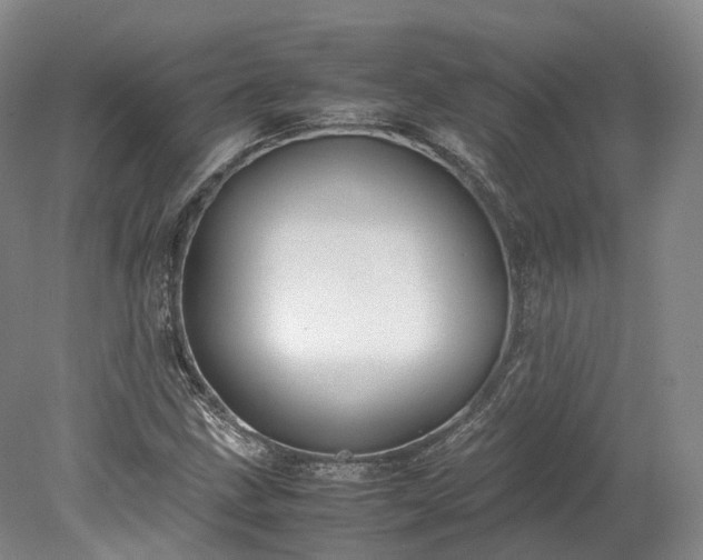 X0000078241211200611101026