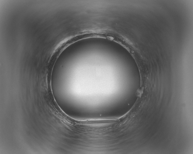 X0000078241214200611101027