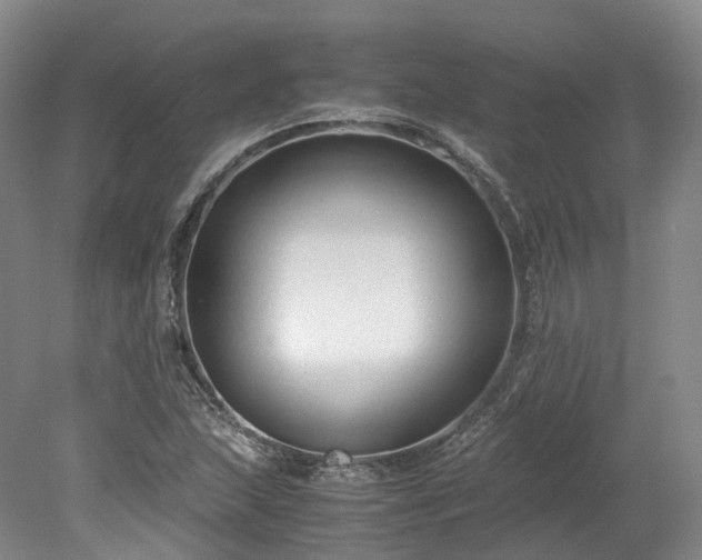 X0000078241215200611101027