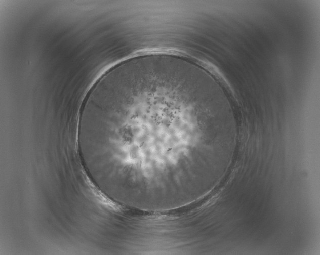 X0000078241228200611101027