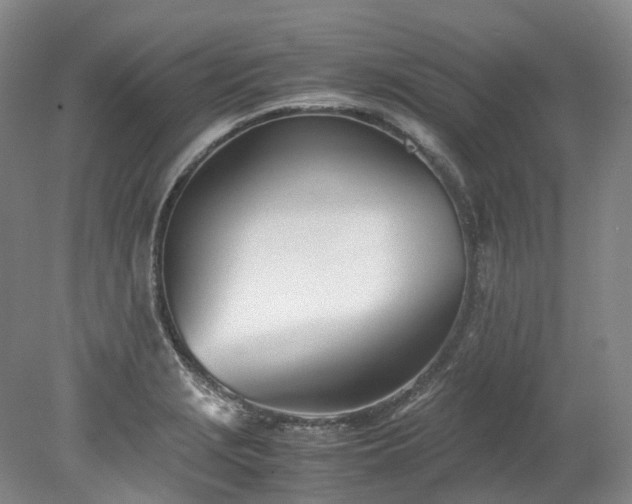 X0000078241229200611101027