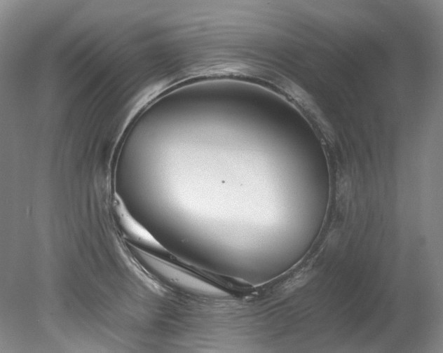 X0000078241234200611101027