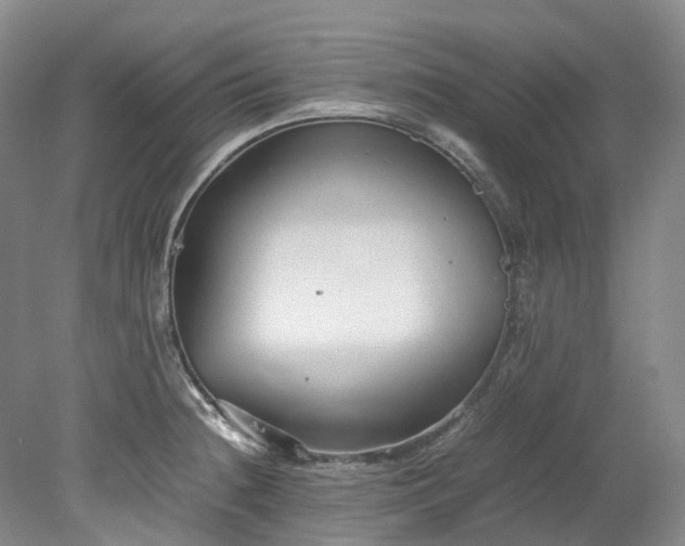 X0000078241236200611101027