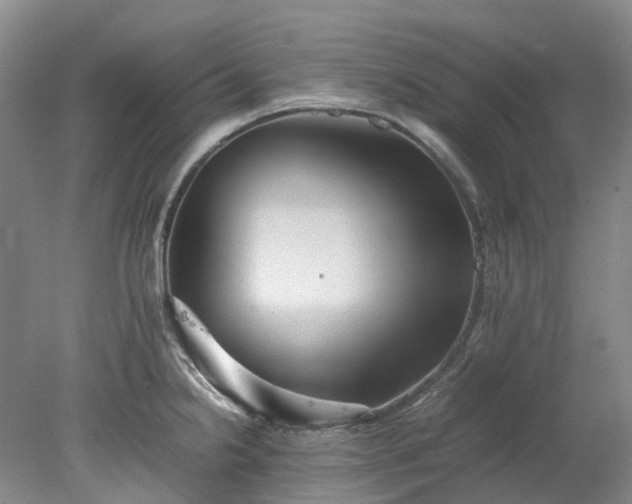 X0000078241238200611101027