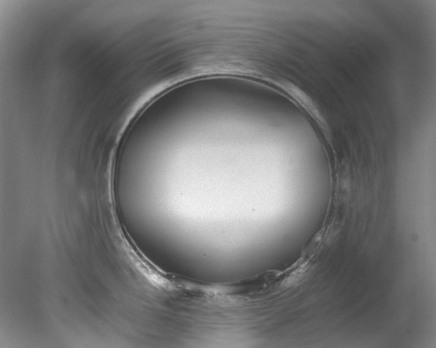X0000078241246200611101027