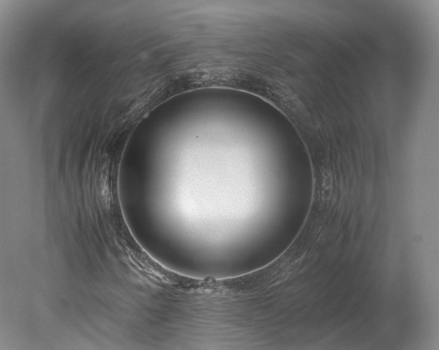 X0000078241250200611101026
